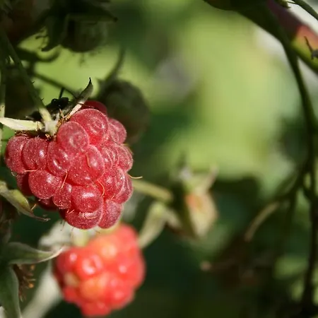 بيت ضيافة Nad Rudawa كراكوفيا