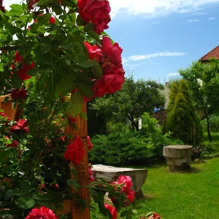 Πανσιόν Nad Rudawa 3*