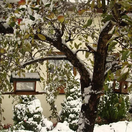 Nad Rudawa 3* Krasków