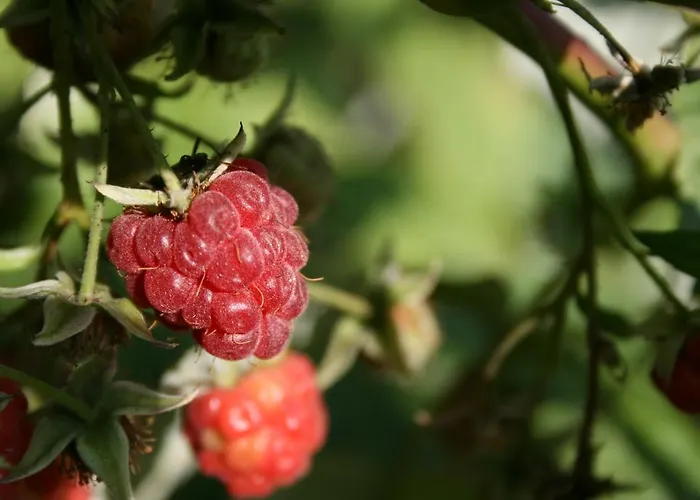Gasthof Nad Rudawa Krakau